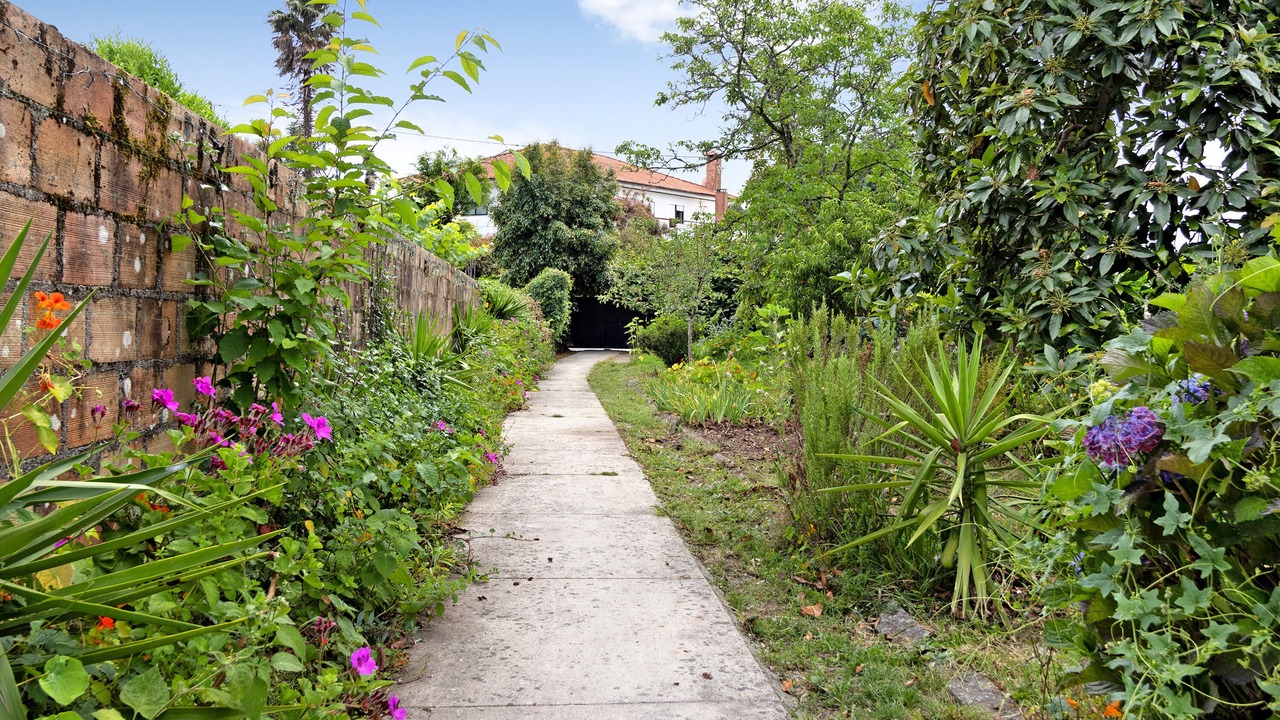 Photo of Outdoor in Vila Nova d'Anha