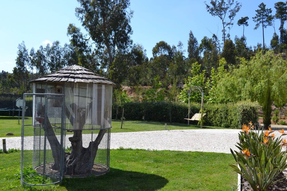 Photo of Outdoor in Carvalhal Benfeito