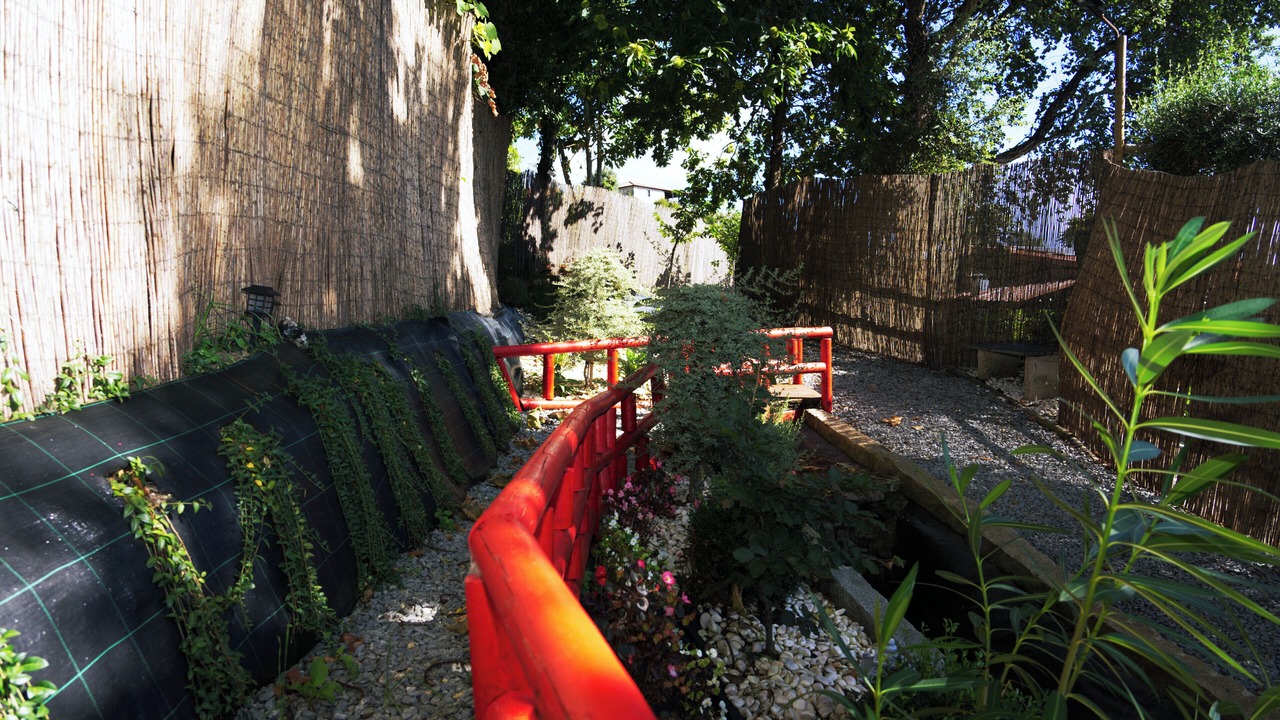 Photo of Outdoor in Celorico de Basto