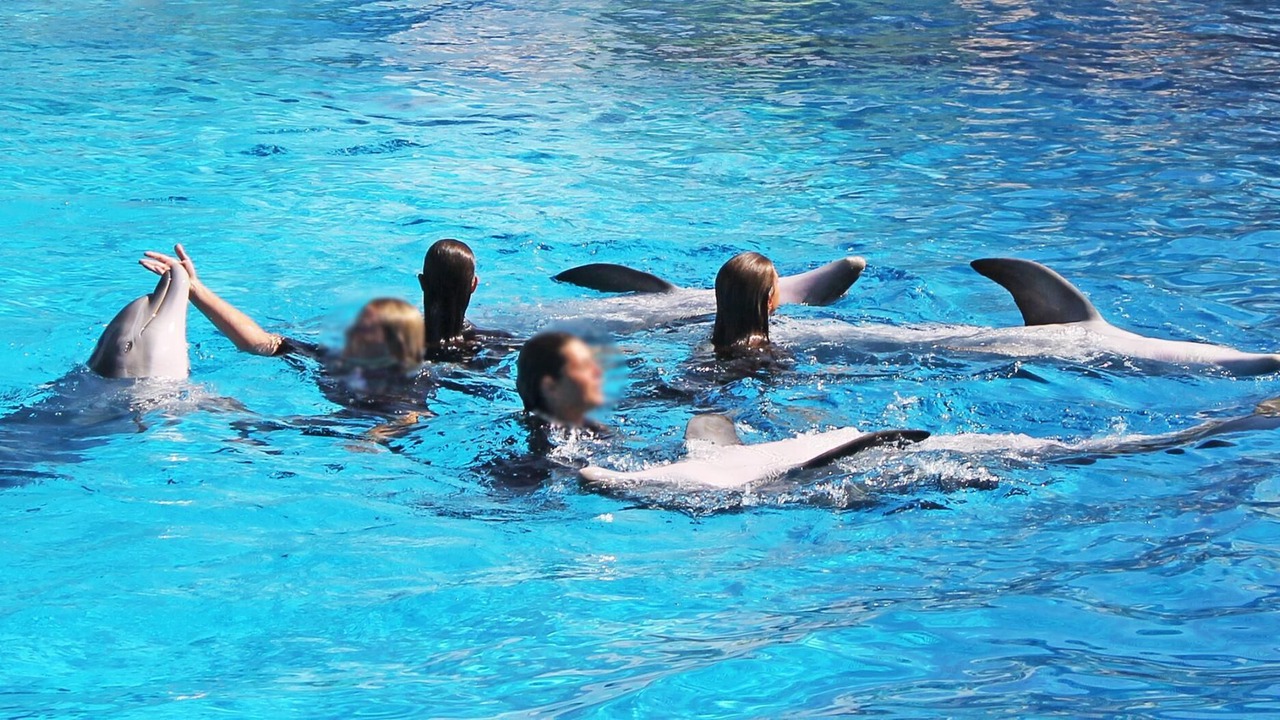 Photo of Others in Vilamoura