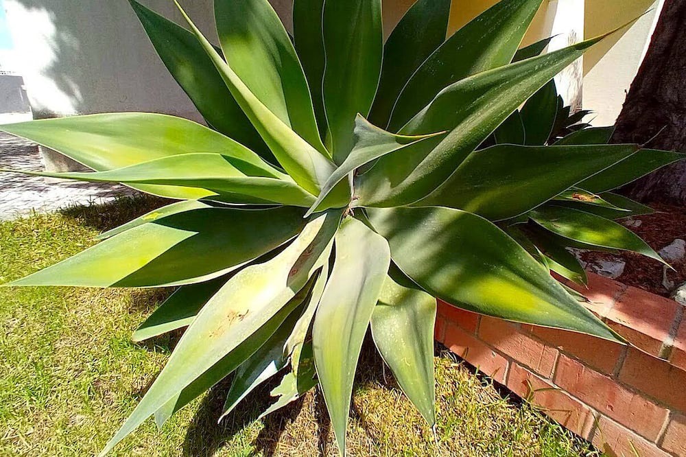 Photo of Outdoor in Faulha