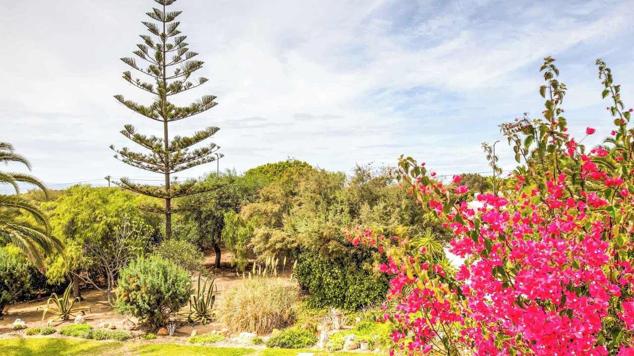 Photo of Outdoor in Caramujeira