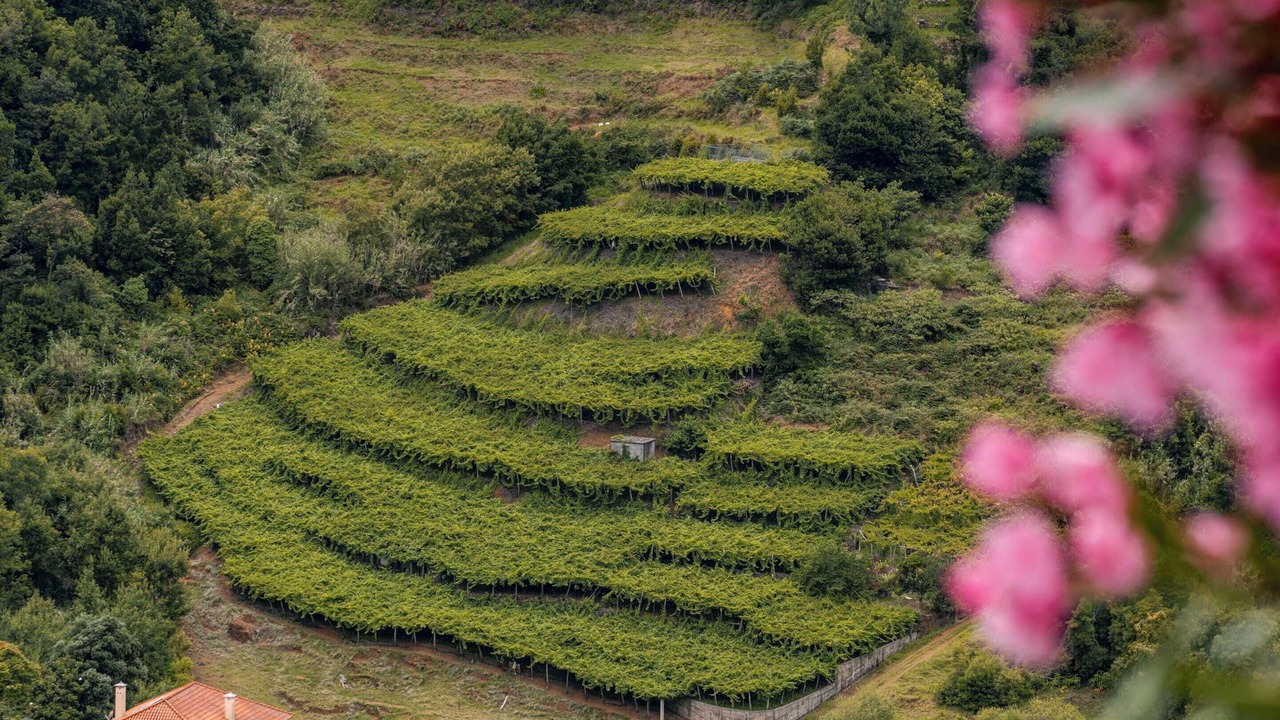 Photo of Outdoor in Sao Vicente