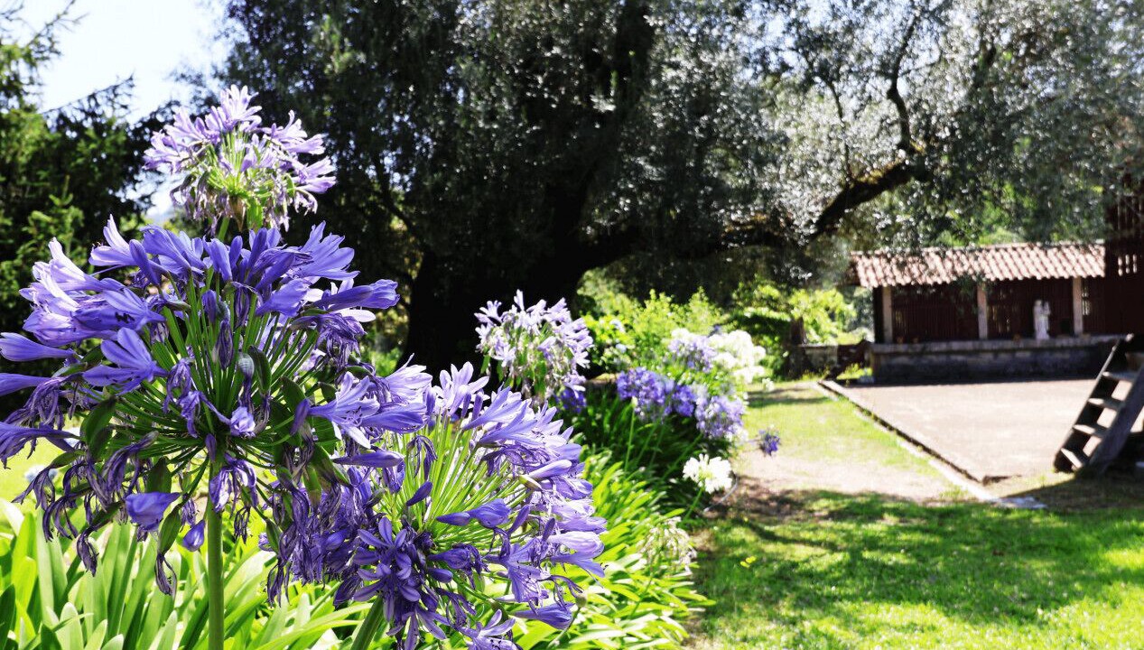 Photo of Outdoor in Ponte de Lima