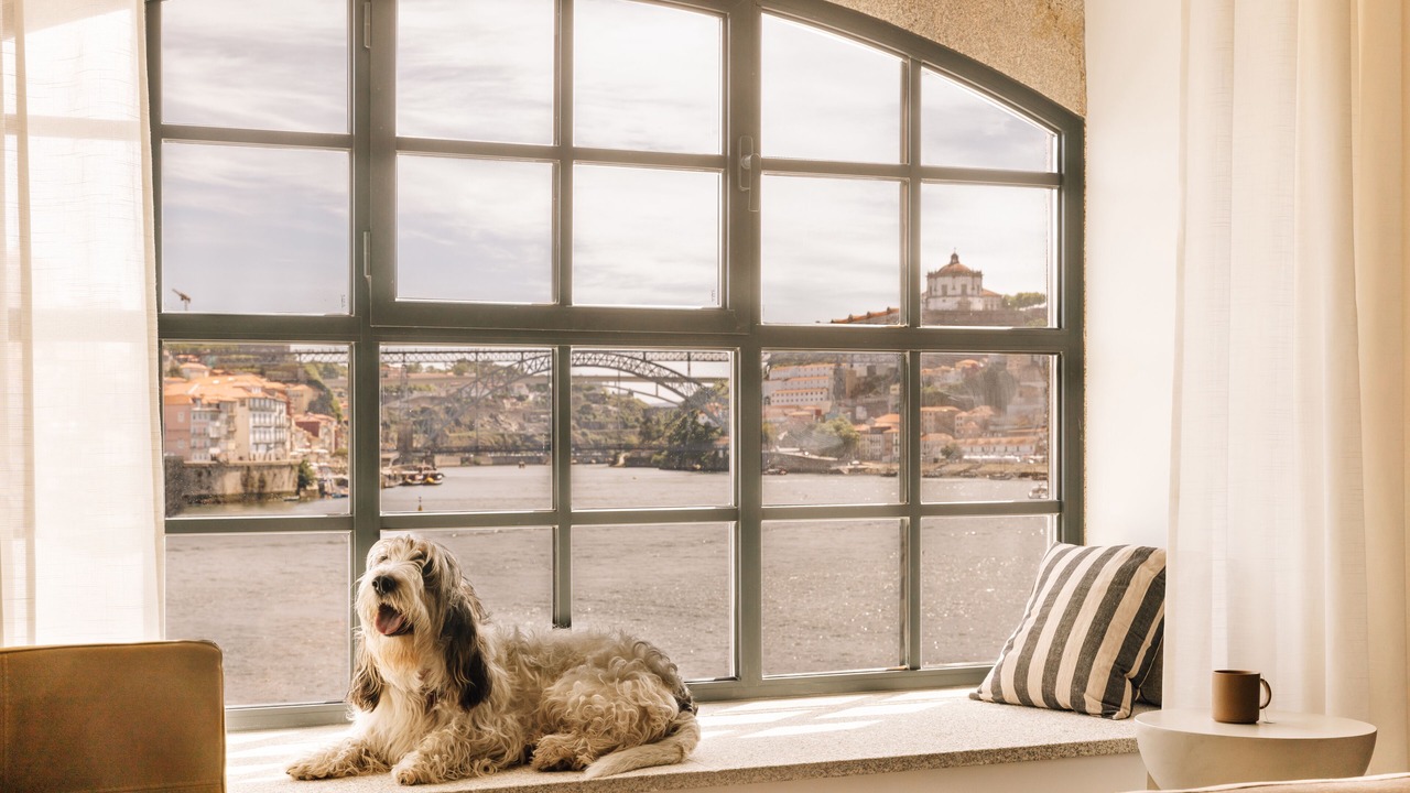 Photo of Others in Santa Marinha