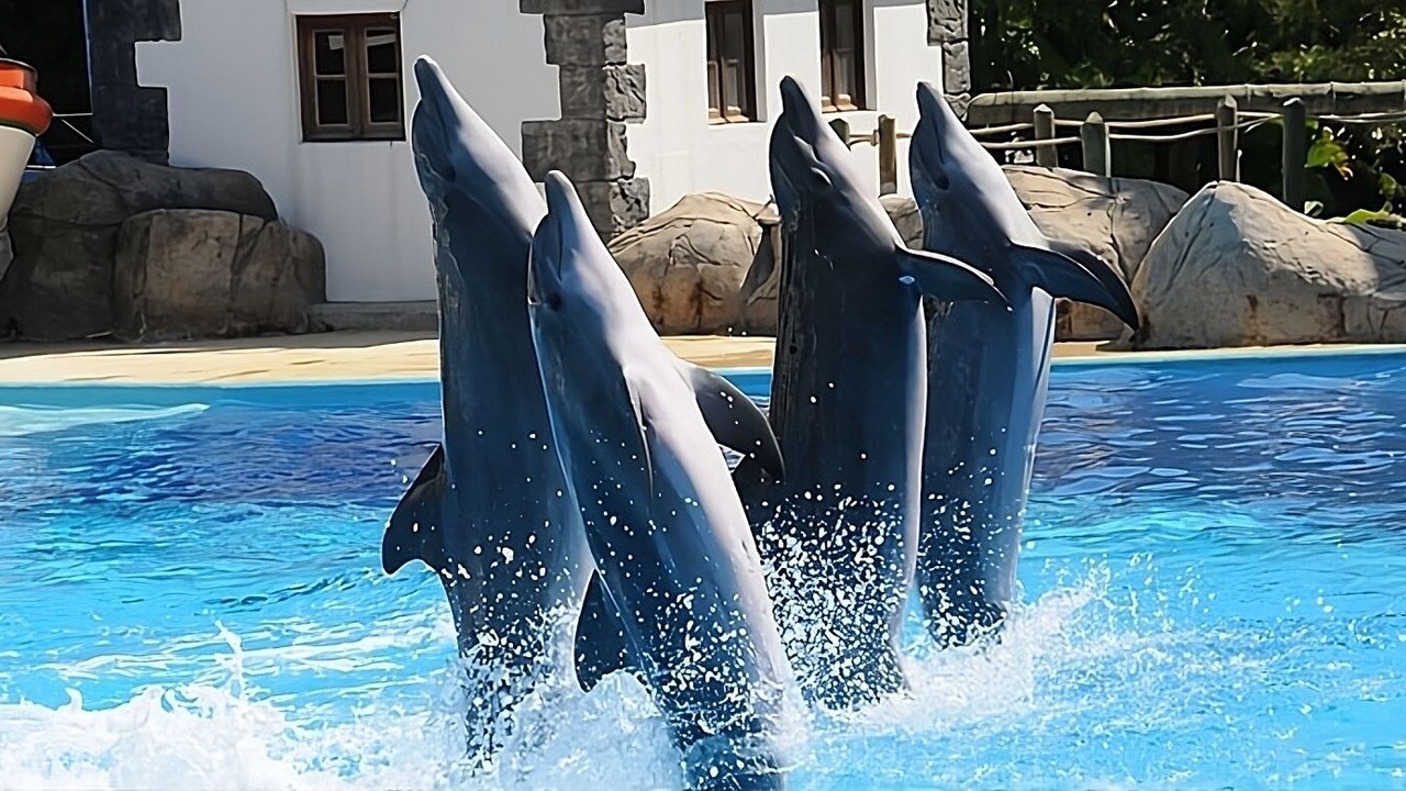 Photo of Outdoor in Sao Sebastiao da Pedreira