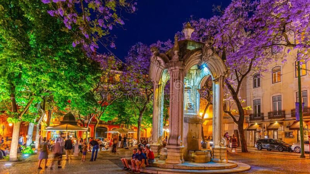 Photo of Outdoor in Sao Sebastiao da Pedreira