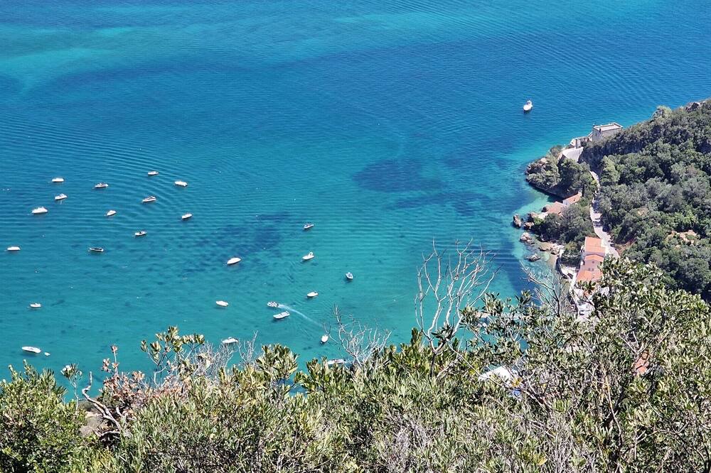 Photo of Others in Portinho da Arrabida