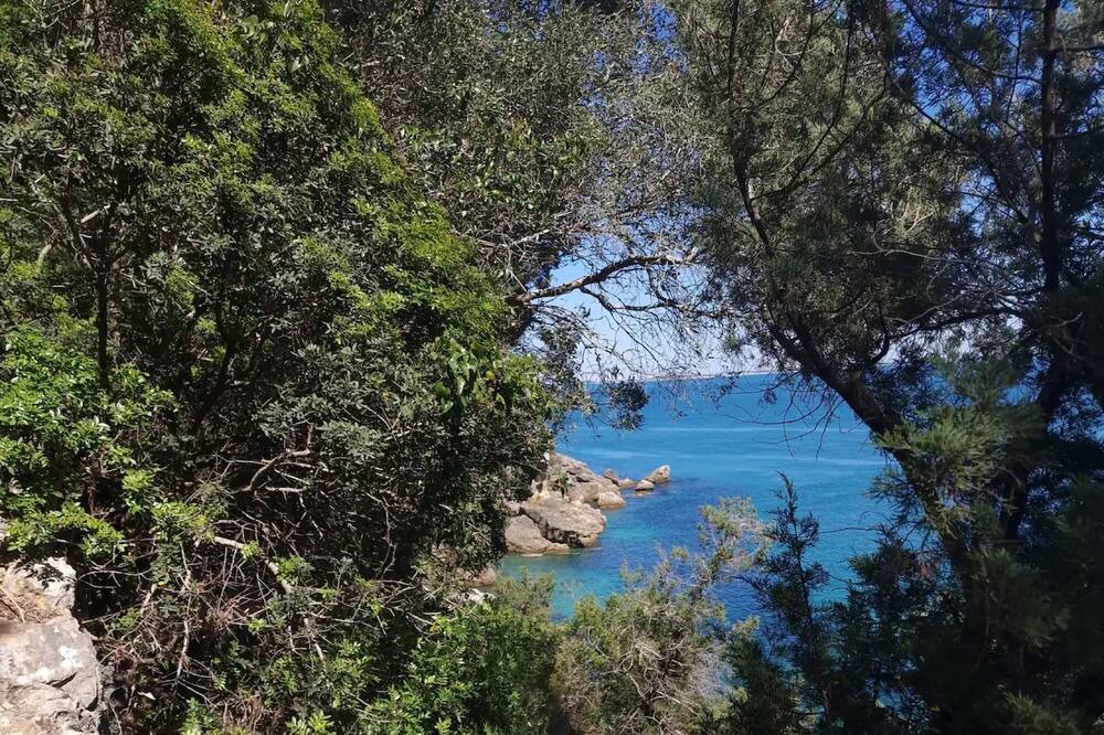 Photo of Others in Portinho da Arrabida