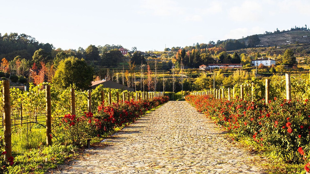 Photo of Outdoor in Baiao