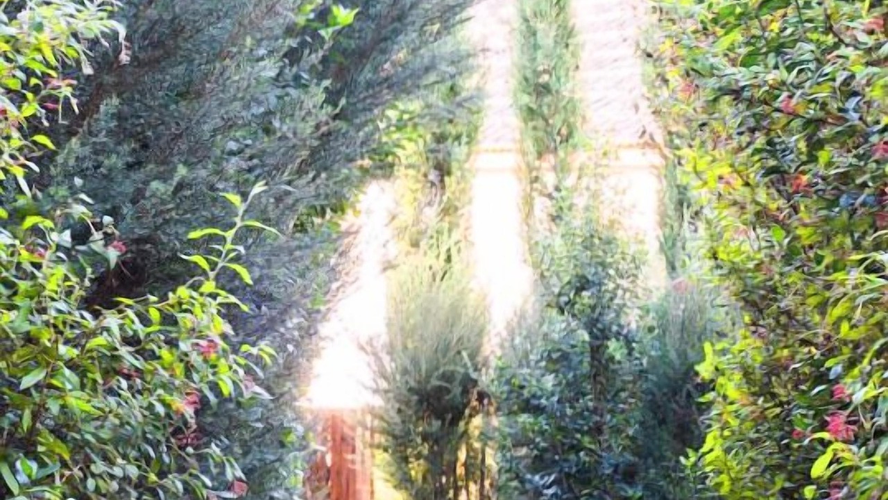 Photo of Others in Baiao