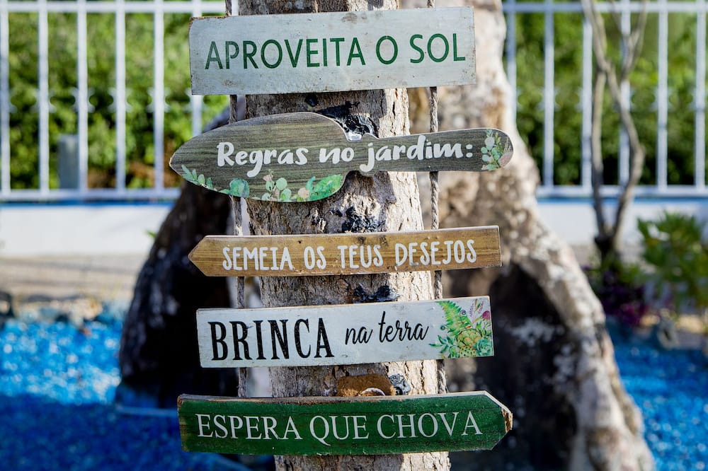 Photo of Others in Barrosinha