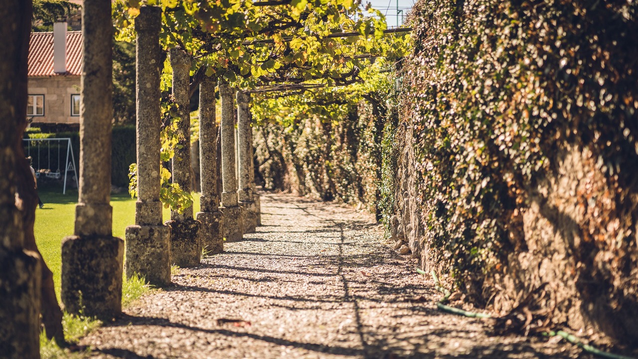 Photo of Outdoor in Sortelha