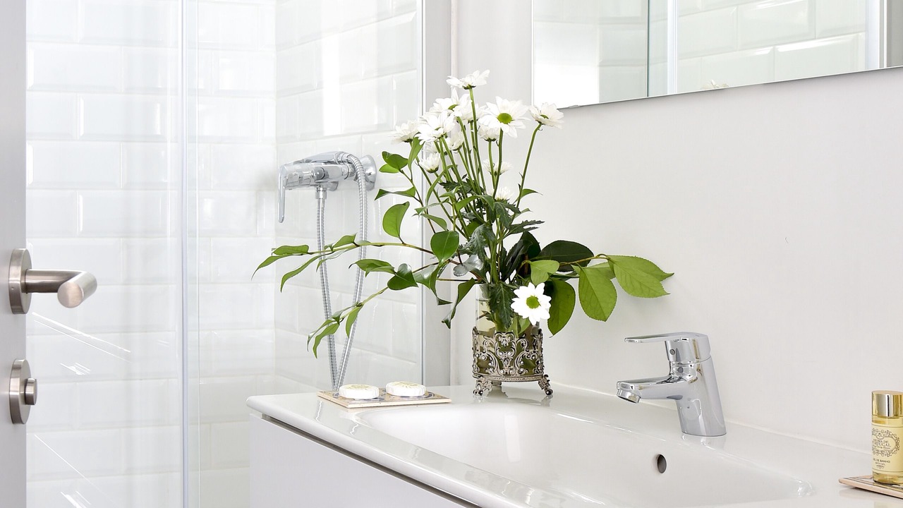 Photo of Bathroom in Evora