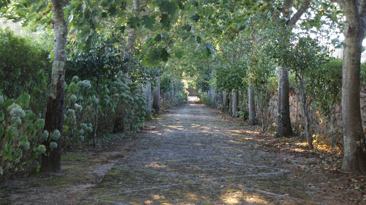 Photo of Outdoor in Cossourado