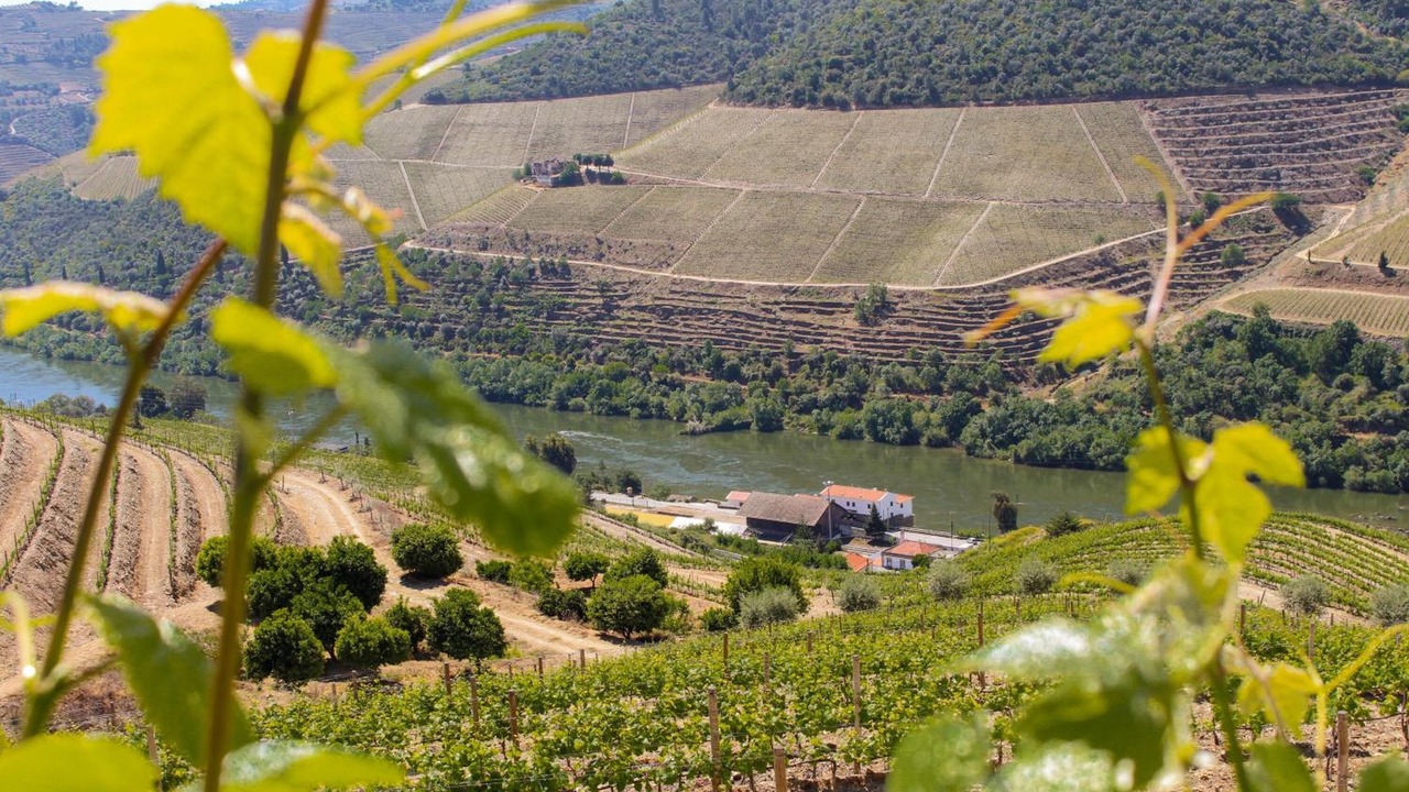Photo of Outdoor in Cotas