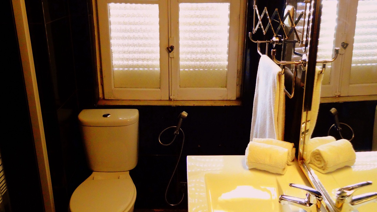 Photo of Bathroom in Baixa