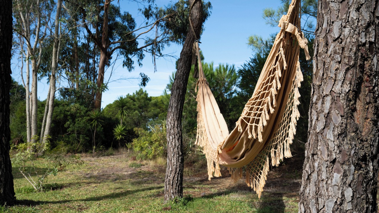 Photo of Outdoor in Castelo