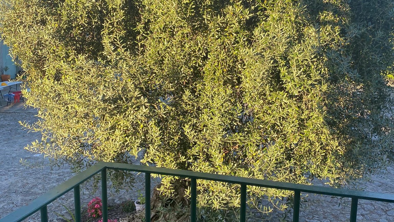 Photo of Outdoor in Medelo