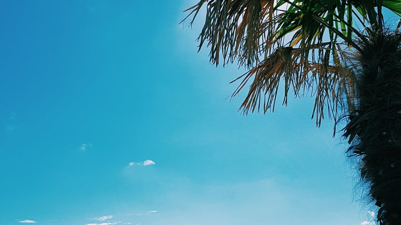 Photo of Outdoor in Ribeira Grande