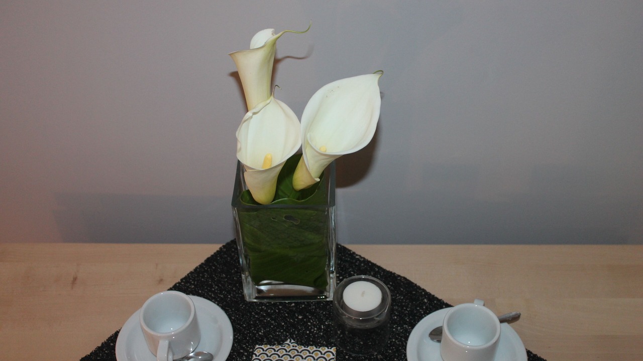 Photo of Bedroom in Setubal