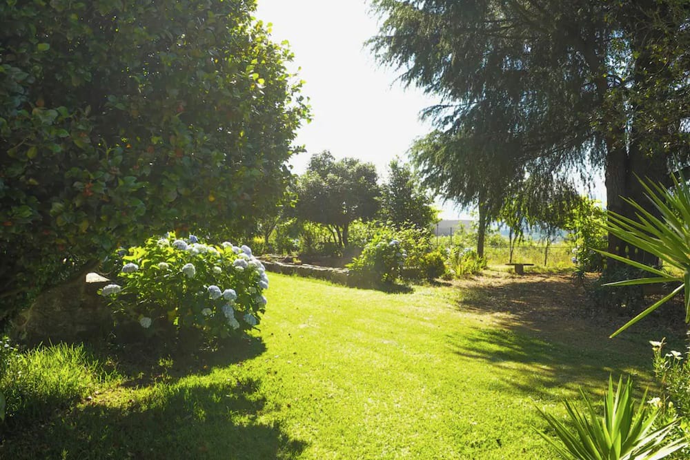 Photo of Outdoor in Britelo