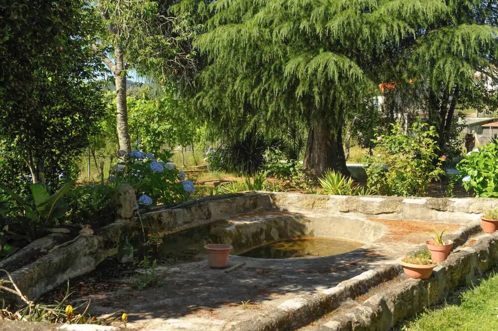 Photo of Outdoor in Britelo