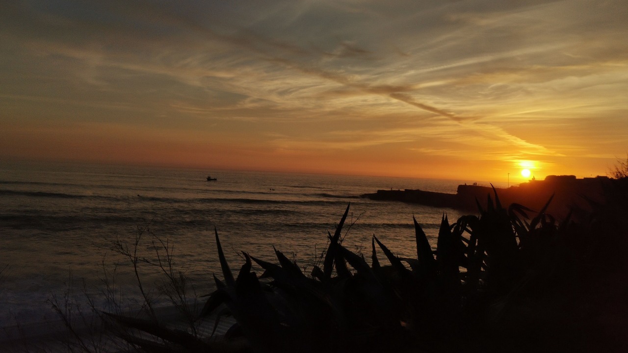 Photo of Others in Cascais