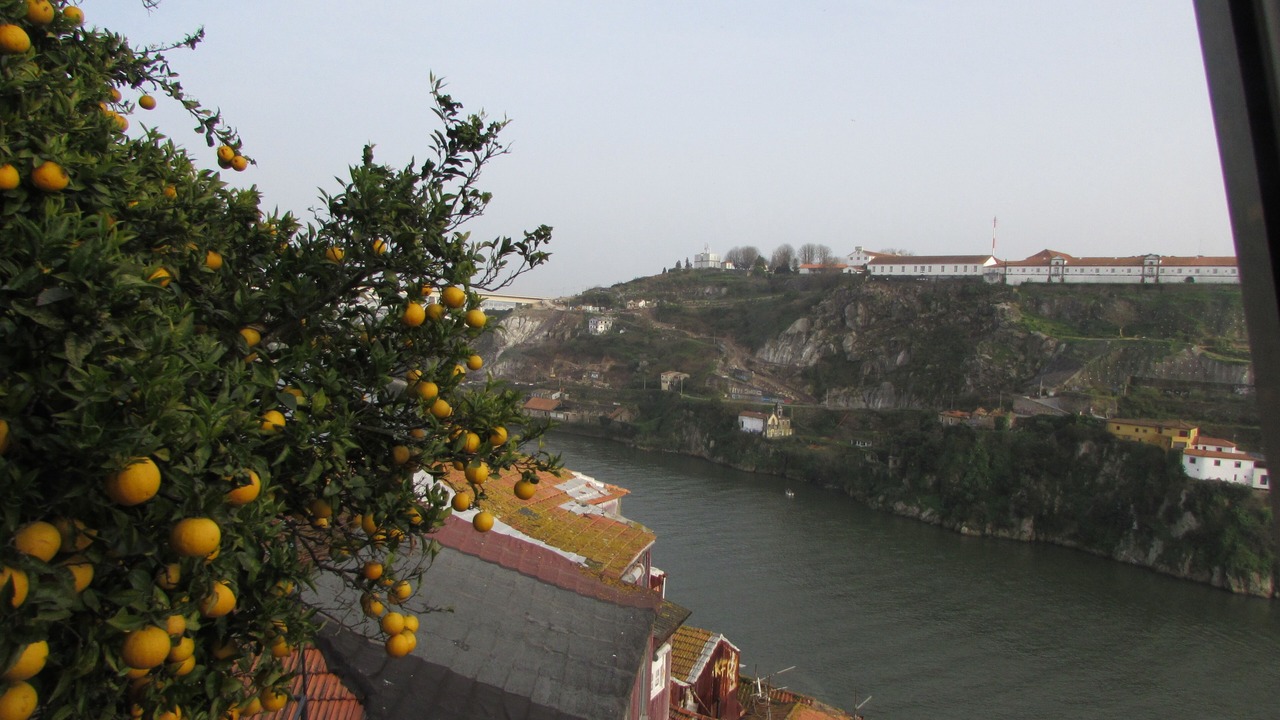 Photo of Others in Furadouro