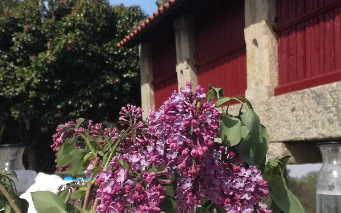 Photo of Outdoor in Amares