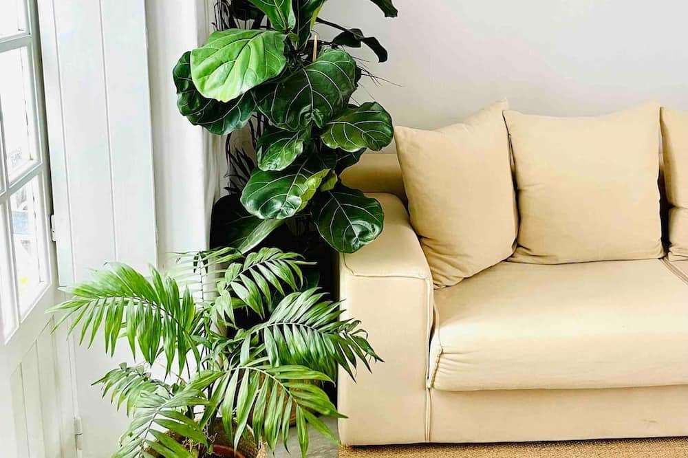 Photo of Livingroom in Vendas Novas