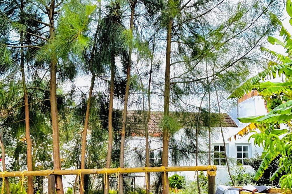 Photo of Outdoor in Vendas Novas