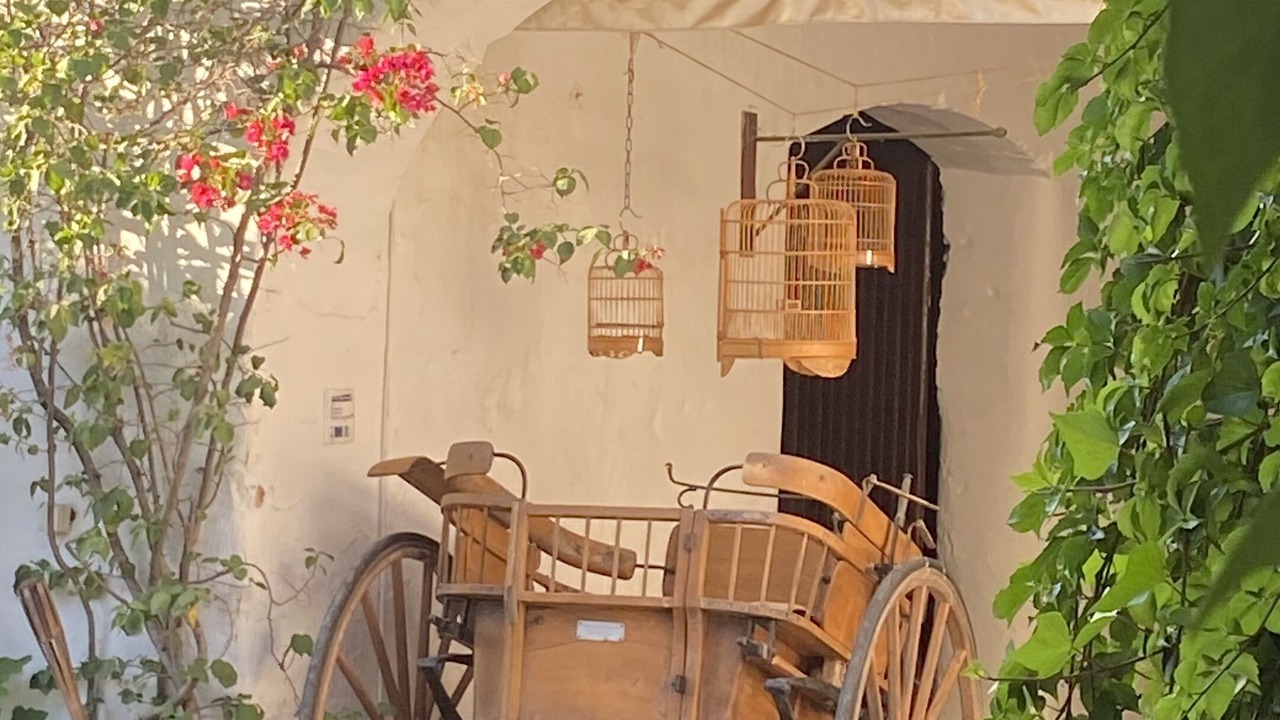 Photo of Outdoor in Vidigueira