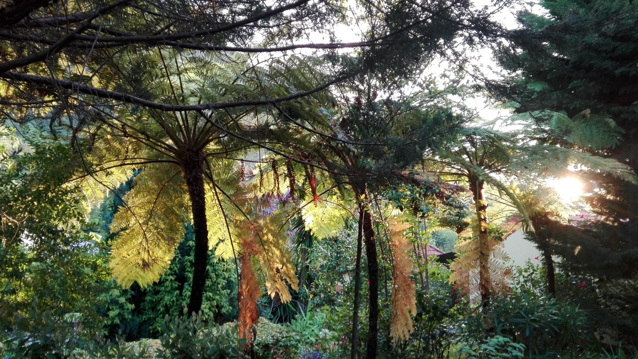 Photo of Outdoor in Arco de Sao Jorge