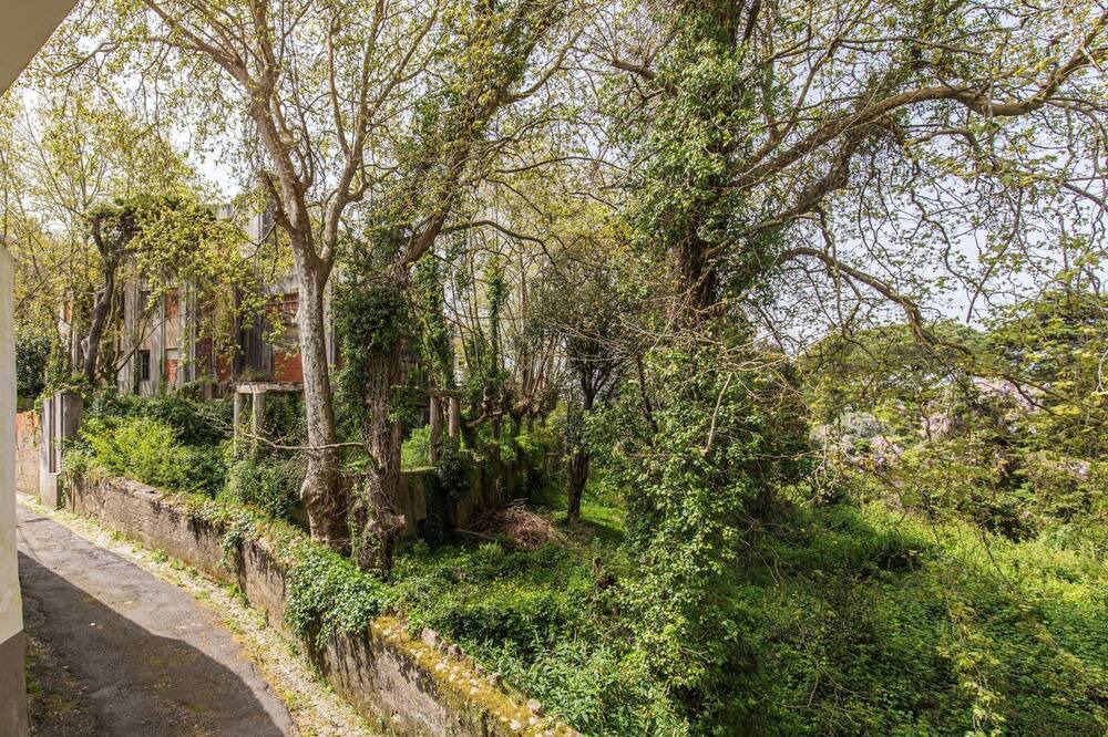 Photo of Outdoor in Santa Maria e Sao Miguel