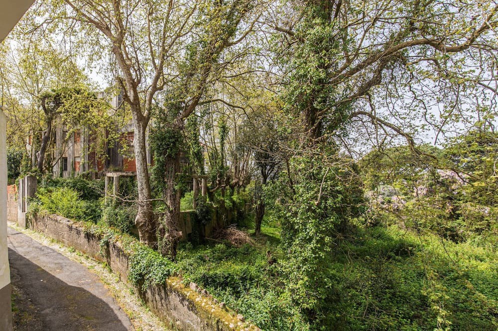 Photo of Outdoor in Santa Maria e Sao Miguel