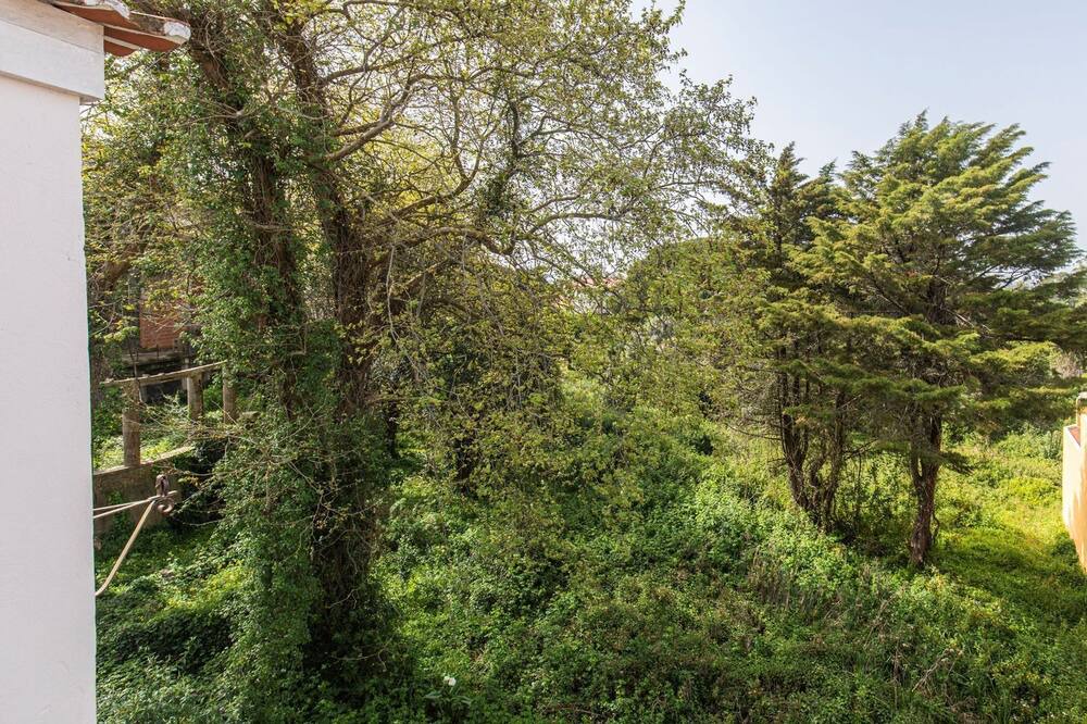 Photo of Outdoor in Santa Maria e Sao Miguel