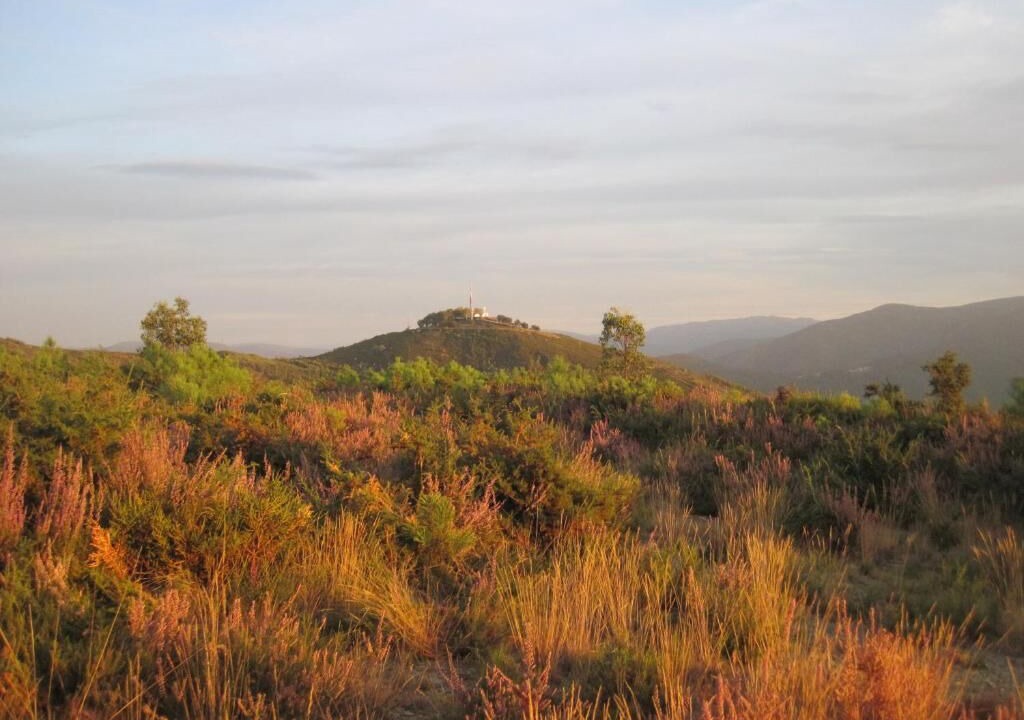Photo of Outdoor in Arouca
