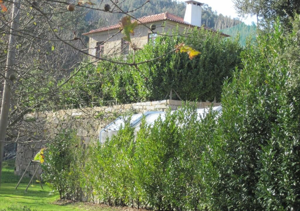 Photo of Outdoor in Arouca
