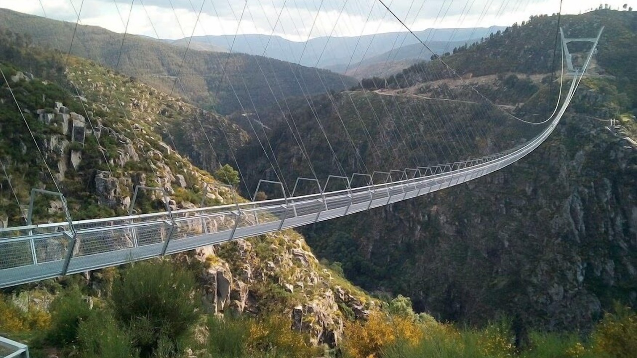 Photo of Outdoor in Arouca