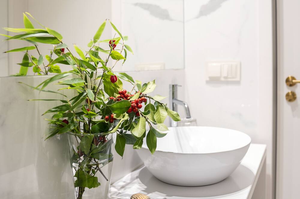 Photo of Bathroom in Sever do Vouga