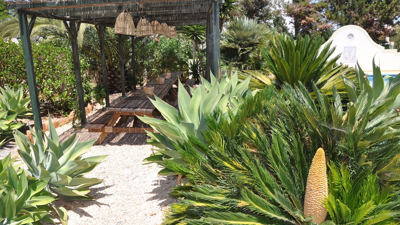 Photo of Outdoor in Praia da Luz