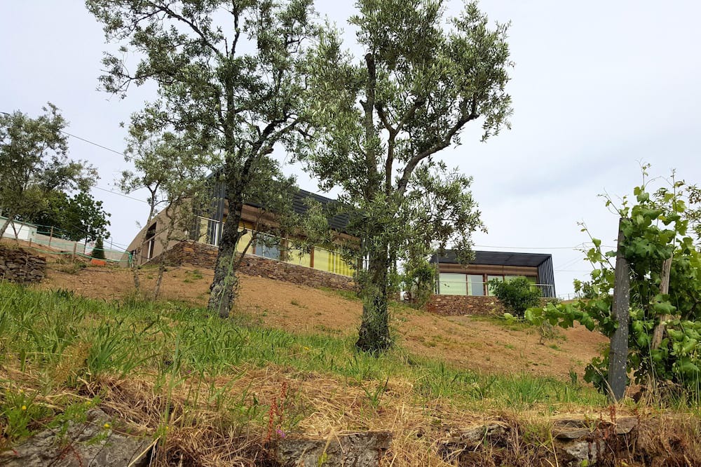 Photo of Outdoor in Seia