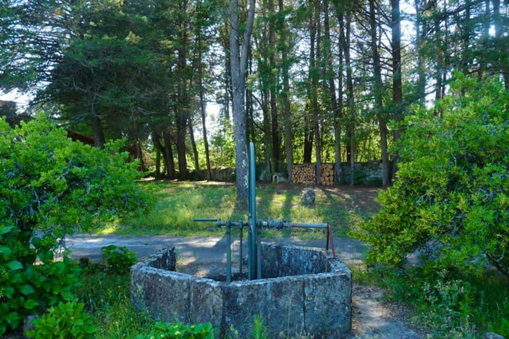 Photo of Outdoor in Sao Pedro do Sul