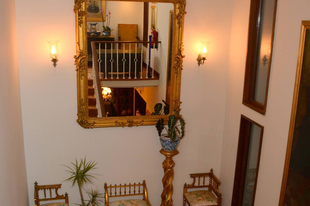 Photo of Others in Sever do Vouga