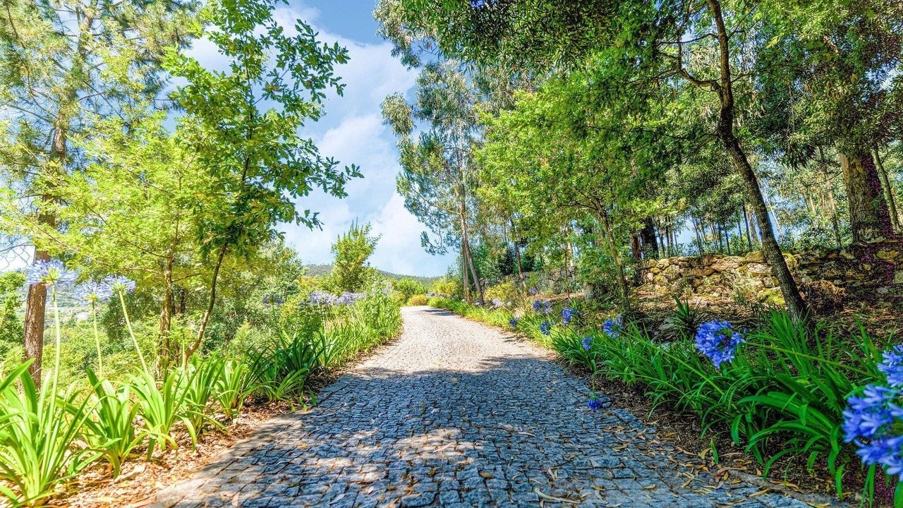 Photo of Outdoor in Penafiel