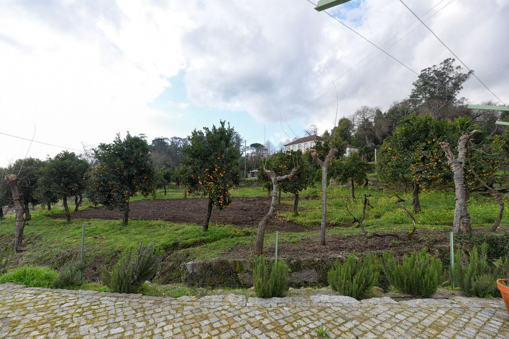 Photo of Outdoor in Beijos