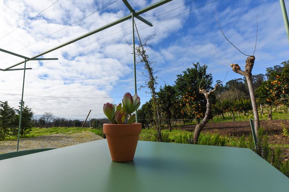 Photo of Outdoor in Beijos