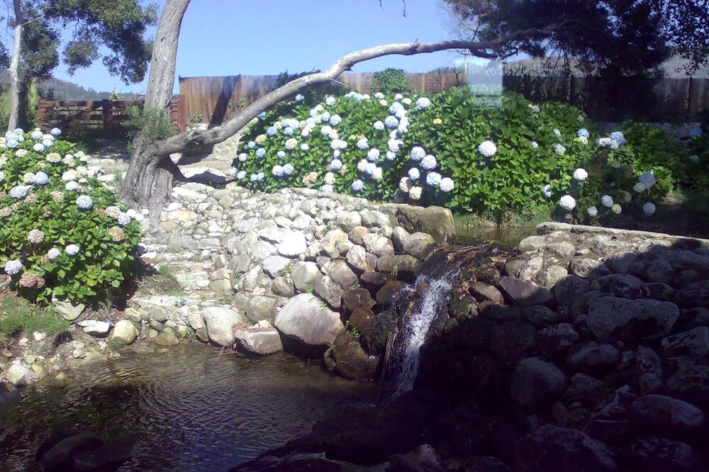 Photo of Outdoor in Viana do Castelo