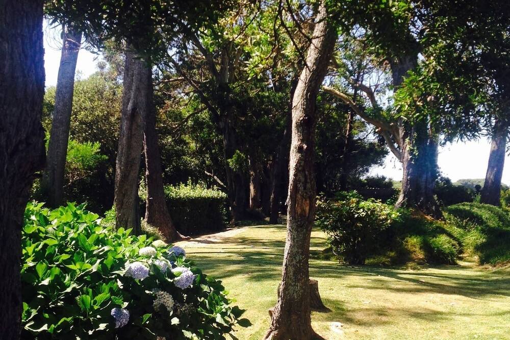 Photo of Outdoor in Viana do Castelo